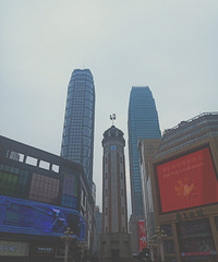 ��ƺ�Ĺ�������·Сѧ��ѧ���仧����Ҫ����