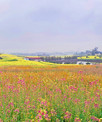 һοɫͲ˻ȻôƯ̫λ