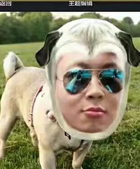 32177CM50ĸ飬ҸҪ󲻸ߵ