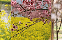 ǳͻأδҰͣˣ¶̤࣬ȥ