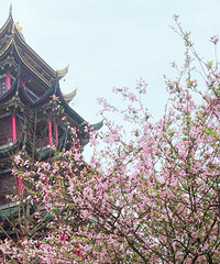 ����¹�԰�ĺ��Ļ�����