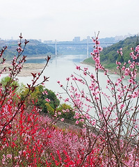 һƬѵһֲȥ̫Ưˣ羰Ե