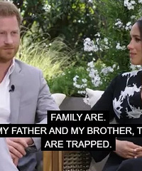 ����÷���Գ������������������ɱ