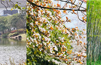 ãԼ۱ȸߵȪأͻʳһ