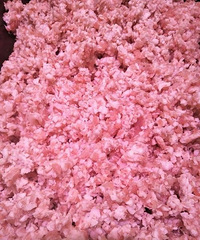 ���ǻ�������ʺõ������𣿻᲻�����˲��õ���