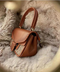 �ֲ�Coach�����¿�����������ϻ�ͼ������ʱ�ֲ���