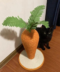 ˼ҵèèеģǼҵèèҲҪ