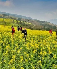 쿴Ͳ˻̵㣬ЩطֳƬ