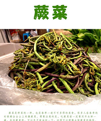 �����ǳ�Ұ�˵ļ��ڣ���������ЩҰ�����Ƕ��Թ�û