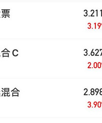 基金大跌半个月后终于反弹了!