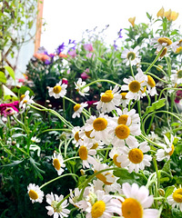 紵С̨һһʾվǵ׺̨