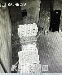 年薪30万,却去偷两箱车厘子