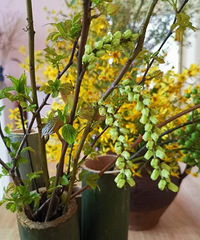 ֻΪ࿴һۣҼҵĻƿҲȱ....