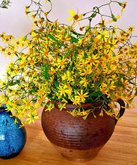 ֻΪ࿴һۣҼҵĻƿҲȱ