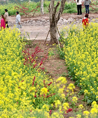 ͵ɽȥҰˬдƬѲɫͲ˻