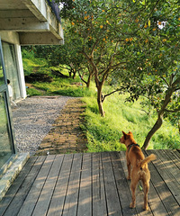 ����ȥ��С������������ɫ����������Ŷ