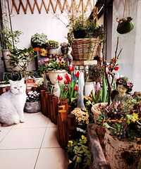 ¼С̨ɱ䣬ӸʺԼģֻЩ