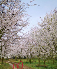 Ķӣ̫λ˰ɣҲλգסũֳ