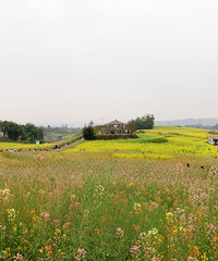 ײⶶƼܱΣطȷʵƯ˼ֵãʳ