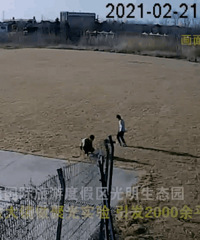 爹带娃做实验引发火灾