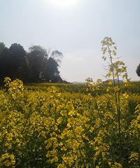 Ͳ˻۶Ұз׽Ϻ»һ춼ˣ