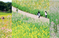 вҪƱĲɫͲ˻ʵ̫Ƭˣֵ