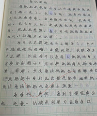 为什么还有“我的爸爸妈妈”命题作文,好戳伤疤