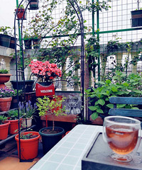 ĴɫڼεĿաӿö̫