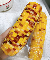 ����������Ŵ�����ף���������ܻ����������