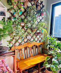 ССϰٿŶ⣬̨Ҽߵĵط