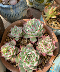 ССϰٿŶ⣬̨Ҽߵĵط