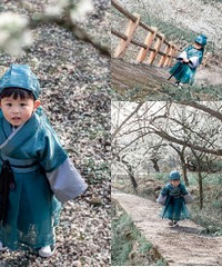 人间三月天李花开,吾家有子初长成