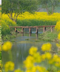 쿴Ͳ˻̵㣬ЩطֳƬ