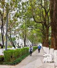 气温狂跌10℃!这一波降温你准备好了吗?