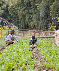 �����԰�������йܵ��ĺ�Ժ����ĩ