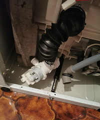 19岁选择出国,当时说十年之后回国,如今十年之期已经快到了