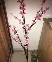 32岁月入1万以上的哥子征婚,希望对方善良孝顺、性格活泼