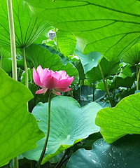 90年162CM的小姐姐征婚,希望跟你一起并肩作战