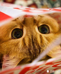 关于对方是否是适合结婚的对象?我是这样理解的