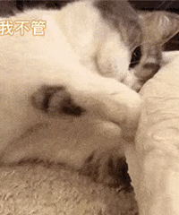 ��322ֵ������¡ÿ�ռ�����59���츣��ɳ����2��25