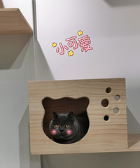 我的独居生活,有你们的陪伴很幸福