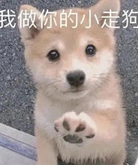 ��323ֵ�������走����6ö39����־���ٽ�ţ���8��44