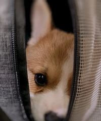 һ��һ���㲻����ӣ���������Ҹ�����