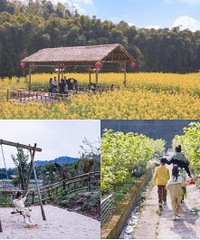 花田果园,在有托管的四合院过周末
