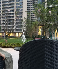 30򣡸㶨119ƽڰ׻+ľ2021װռǡ