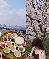 两万多亩的樱花园太梦幻了,还能吃美食