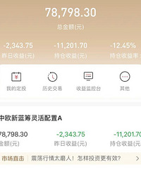 基金股票亏了十万