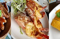 ���ֲ��ѾõĲ��������Ʒȴ���Ҳ�ͣ������