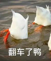 ����Ҳ�����������������������������ֳ�̫������