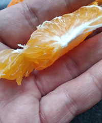 ���ҰҸ̡��ȡ����١��ó�̫�࣬������ô���